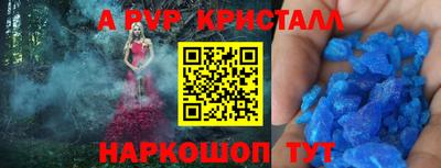 бошки Гатчина