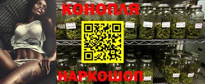 бошки Гатчина