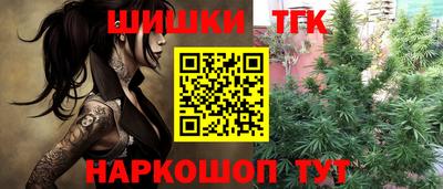 бошки Гатчина