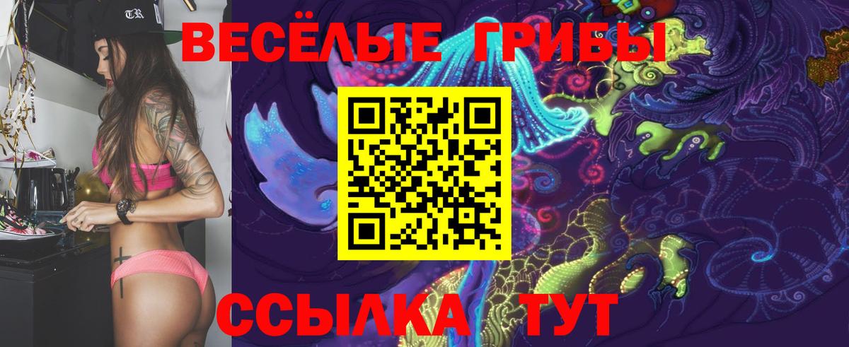 Балаково  Галлюциногенные грибы мицелий  сколько стоит  Вход с VPN 